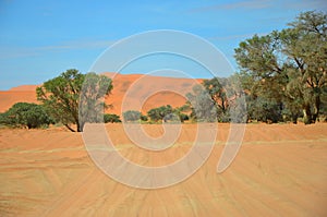 Sandy road in Namibia