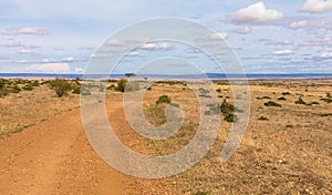 Sandy road with tire tracks through African national park. Seen on a game drive.