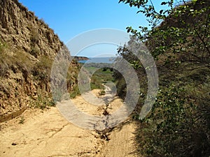 Sandy road to the bank of the Dniester firth