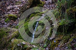 Sandy rock along which flows a clear forest spring water forming a waterfall. Stones with green moss