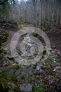 Sandy rock along which flows a clear forest spring water forming a waterfall. Stones with green moss