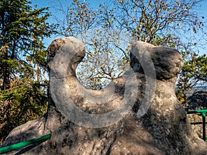 The Saddle within the Errant Rocks of the Table Mountain National Park, Poland