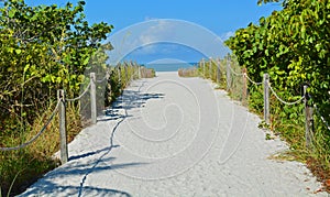 A Sandy Roped Path to a Blue Sea on the Beach