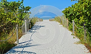 A Sandy Roped Path to a Blue Sea on the Beach photo