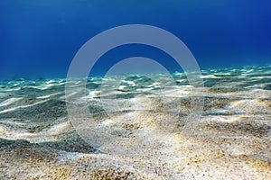 Sandy sea bottom Underwater background