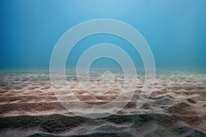 Sandy sea bottom Underwater background