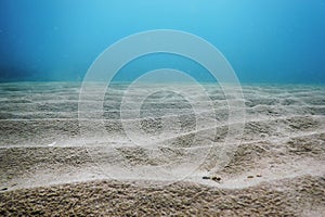 Sandy sea bottom Underwater background