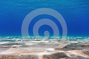 Sandy sea bottom Underwater background