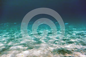 Sandy sea bottom Underwater background