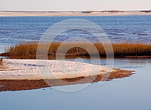 Sandy Sea Marsh