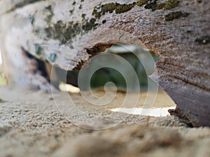 Sandy ship wreck