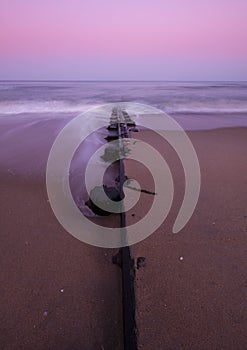 Sandy shore at dawn