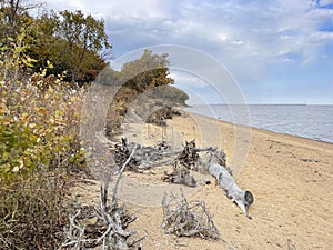 Sandy shore of Lake Khanka on a clear autumn day. Russia, Primorsky Krai photo