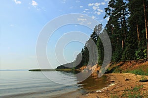Sandy shore with pine trees on lake Seliger