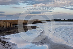 A sandy shoreline at a beautiful nature reserve. Picture from Falsterbo in Scania, Sweden