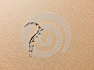 A sandy surface bears a clear question mark, indicating a query or doubt