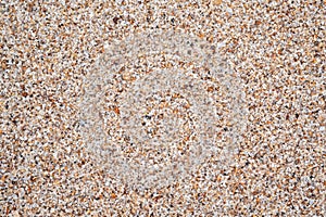 sandy texture of sand on beach by sea close up. Background with a natural sandy pattern in coast