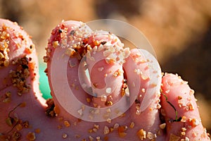 Sandy Toes