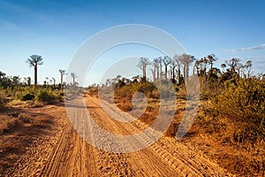 Sandy track