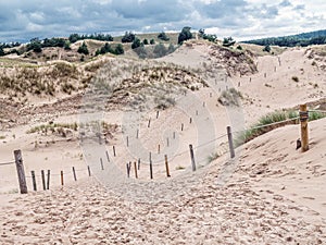 Sandy trail in the Slowinski National Park, Poland
