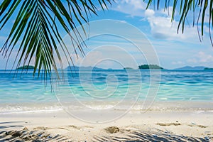 Sandy tropical beach background. Palm leaves in the top corners making frame