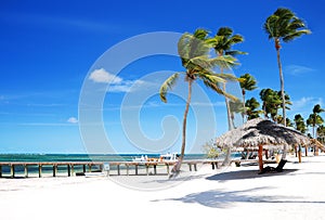 Sandy tropical beach Bavaro, Punta Cana, Dominican Republic