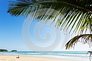 Sandy tropical beach with coconut palm tree frame beautiful beach of andaman sea scenery background in