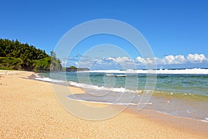 Sandy tropical beach in summer,Mauritius