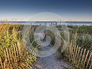 Sandy walkpath to the beach with fence and grass, with the sea behind and clear sky, near Myrtle Beach, South Carolina