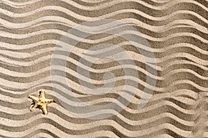 Sandy wavees background with starfish