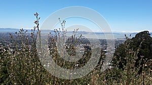 Sanfrancisco landscape