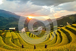 Sang Nhu horse-shoe and Terraced rice field of the H`Mong ethnic people