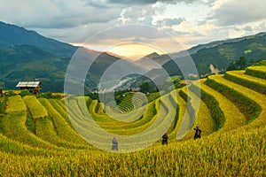 Sang Nhu horse-shoe and Terraced rice field of the H`Mong ethnic people