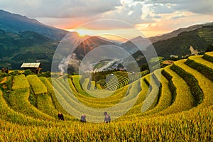 Sang Nhu horse-shoe and Terraced rice field of the H`Mong ethnic people