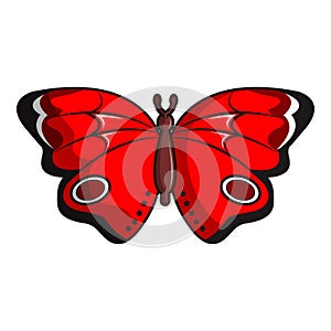 Sangaris butterfly icon, cartoon style