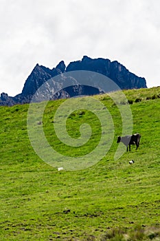 Sangay national park in the Andean zone of Ecuador