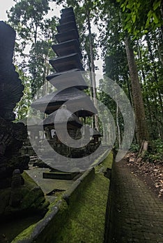 Sangeh monkey forest ruins park in Bali, Indonesia.