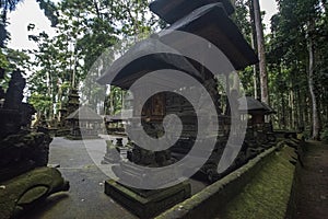 Sangeh monkey forest ruins park in Bali, Indonesia.