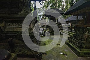 Sangeh monkey forest ruins park in Bali, Indonesia.