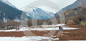 Sangla valley during winters scenic view