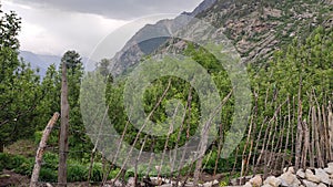 Sangla vally, indian village, kinnaur, himachal pradesh