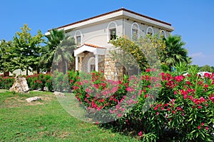 Sani resort home and landscape photo