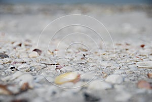 Sanibel Island