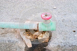 Sanitary fitting valva