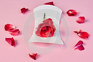 Sanitary napkin and flower on pink background