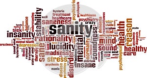 Sanity word cloud photo