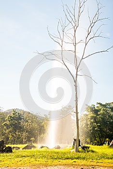 Sankamphaeng hot spring in Chiangmai province