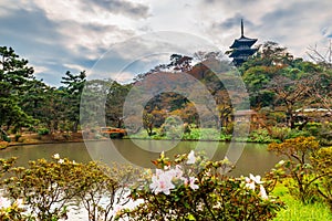 Sankeien garden with Tomyoji former three storied pagoda, flowers and water in Yokohama, autumn background