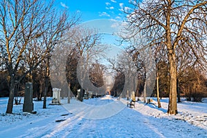 Sankt Marx Cemetery in Vienna photo