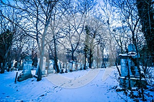 Sankt Marx Cemetery in Vienna photo